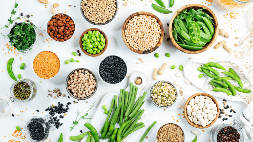 Plant Protein